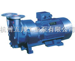 工業(yè)泵類與輔助設(shè)備綜述 種類、特點(diǎn)及應(yīng)用